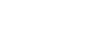 Gemini_Generated_Image_fsvs42fsvs42fsvs